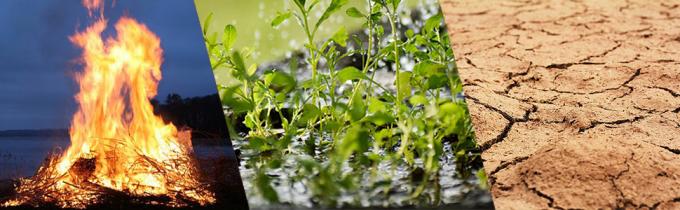 Outdoor Collapsible Flexitank Water Bladder, Water Bag Water Storage Tank Faucet Durable Water Storage Containers 5