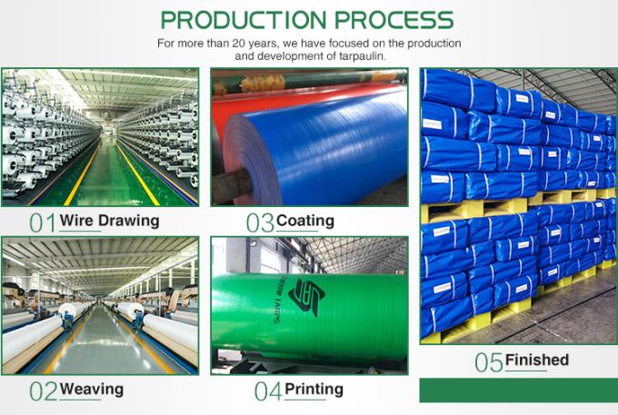 Blue Color PE Tarpaulin Waterproof Awning Cloth Made In CHINA Hot Sale Long Life Tarpulins 1500D Car Cover 5