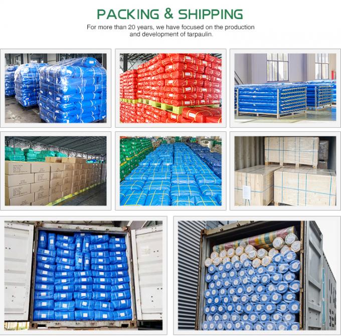 Blue Color PE Tarpaulin Waterproof Awning Cloth Made In CHINA Hot Sale Long Life Tarpulins 1500D Car Cover 6