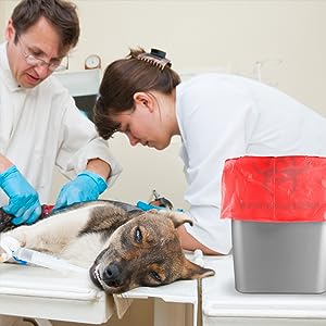 Veterinary