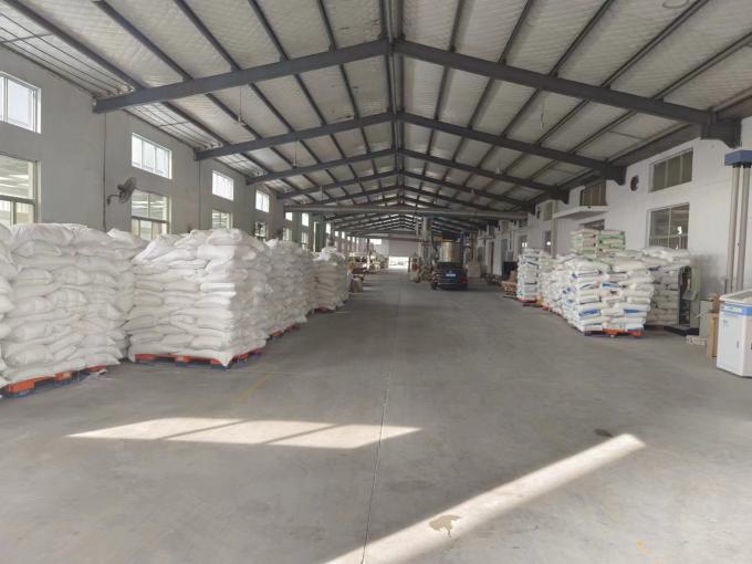 Disposable Plastic Tamper Proof Self Seal Lock Customized Logo Plastic Strip Seals Plastic Seal 30cm For Bank 14