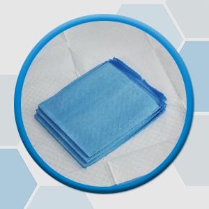Disposable Underpads Ultra Absorbent Undepad Baby Adult Pet Bed Pads Worry Free Overnight Protection Non-Skid Multiple 10