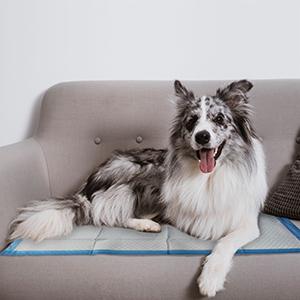 Disposable Underpads Ultra Absorbent Undepad Baby Adult Pet Bed Pads Worry Free Overnight Protection Non-Skid Multiple 12