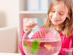 3ml Disposable Plastic Dropper Pipettes, Calibrated Dropper Suitable For Science Laboratory, DIY Art (15) 4