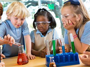 3ml Disposable Plastic Dropper Pipettes, Calibrated Dropper Suitable For Science Laboratory, DIY Art (15) 6