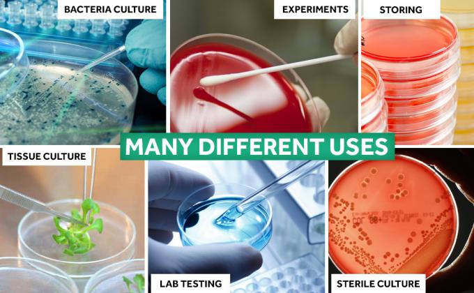 Sterile Petri Dishes With Lids (90 X 15 Mm), 2ml Plastic Pipettes For Lab Analysis, School Projects, Blood Samples 4