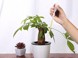 Disposable Plastic Transfer Graduated Pipettes, Clear Dropper for Essential Oils, Water Testing, Lab, DIY Art 8