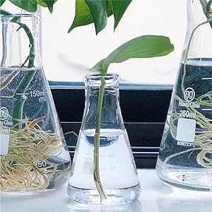 Narrow Mouth Erlenmeyer Flask With Rubber Stopper Glass Flask 5 Piece Set, Narrow Mouth Erlenmeyer, Borosilicate 4