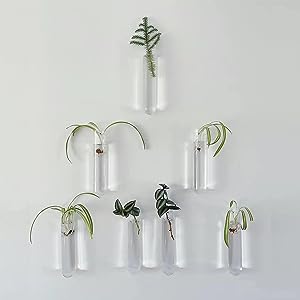 Test Tubes, 50ml - Borosilicate 3.3 Glass - 1.2mm Thick Walls, Beaded Rim - Superior Heat & Chemical Durability 6