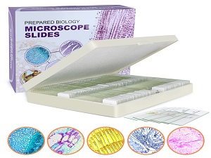 Microscope Slides With Specimens For Kids, Prepared Microscope Slides Plants Animals Insects, Microscope Slides 0