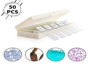Microscope Slides With Specimens For Kids, Prepared Microscope Slides Plants Animals Insects, Microscope Slides 1