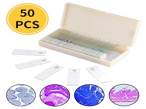 Microscope Slides With Specimens For Kids, Prepared Microscope Slides Plants Animals Insects, Microscope Slides 2