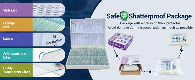 Microscope Slides With Specimens For Kids, Prepared Microscope Slides Plants Animals Insects, Microscope Slides 4