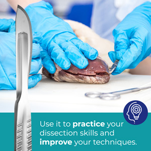 Advanced Dissection Kit - 37 Pieces Total. High Grade Stainless Steel Instruments Perfect For Anatomy, Biology, Botany 2