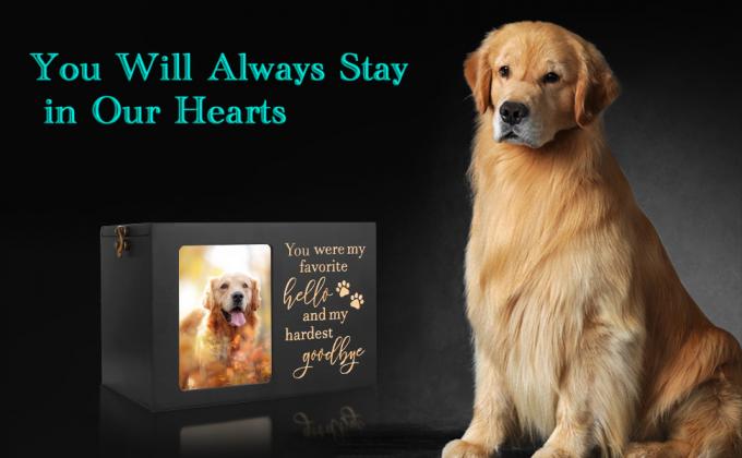 Pet Urns for Dogs Ashes