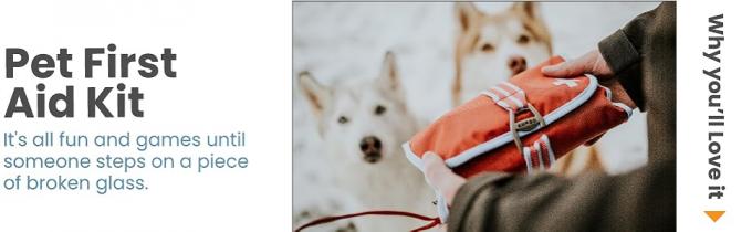 Kurgo pet first aid kit. it's all fun and games until someone steps on a piece of broken glass