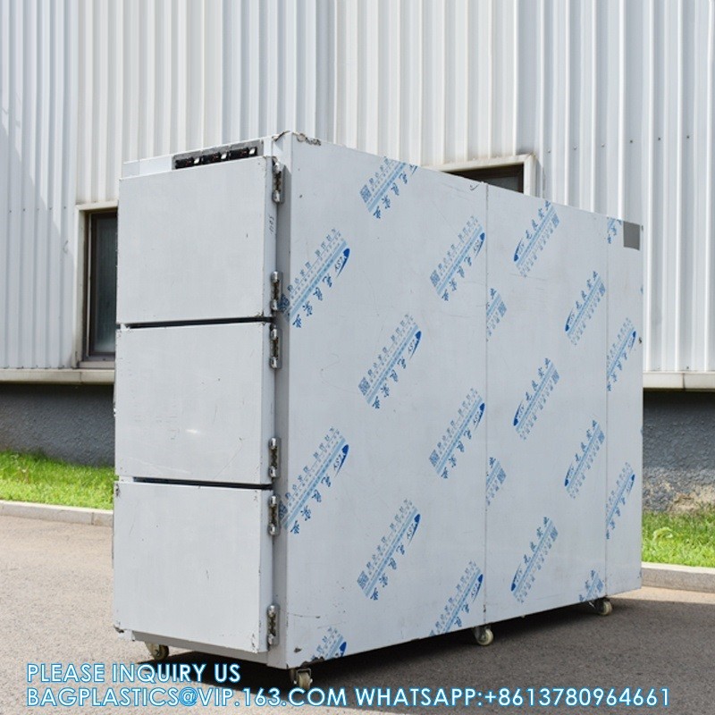3 Drawers Corpse Freezer Bodies Mortuary Refrigerators