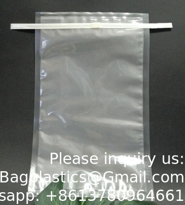 Lateral Filter Blender Bag, Non-Woven Filter, Apply For Filtration Of Samples With Fibers. Gamma Sterile.