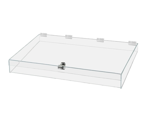 Clear Acrylic Single Lock Medical Box with Keys, 13&quot; x 6.5&quot; x 5.5&quot; Medium for Medical Storage of Supplies Medications