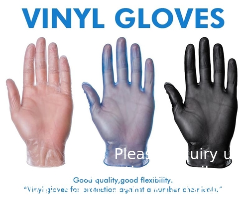 Disposable Vinyl Exam Gloves Wholesale Powder Free Vinyl Gloves for Food Service PVC Glovees for Cleaning