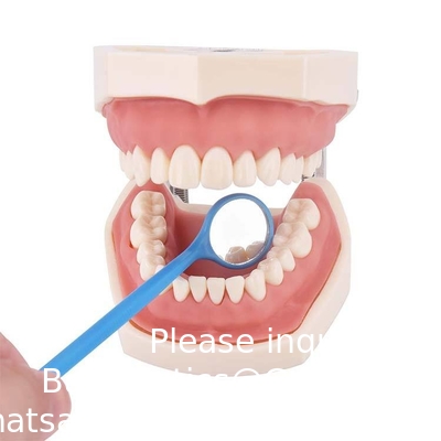 Disposable Mouth Mirror Orthodontic Medical Saliva Suction Dental Mouth Mirror With Handles