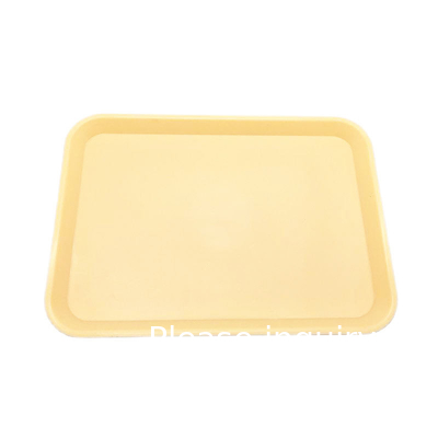 Autoclavable Dental Plastic Flat Trays Instrument Tools Tray 340x240mm High Quality Plastic Instrument Tray