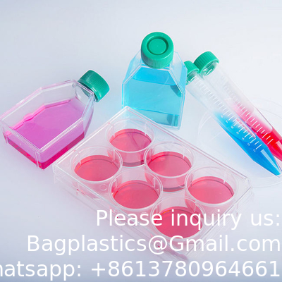 T25 T75 T175 Lab Plastic Sterile Disposable Culture Media Flask Cell Tissue Culture Flask Flatted