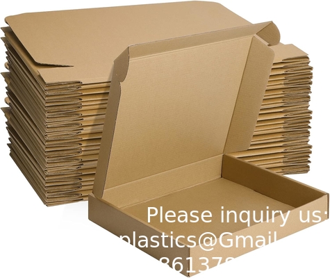 Brown Corrugated Cardboard Literature Mailer Box For Packaging, Mailing, Business Mailing Packing Literature Mailer