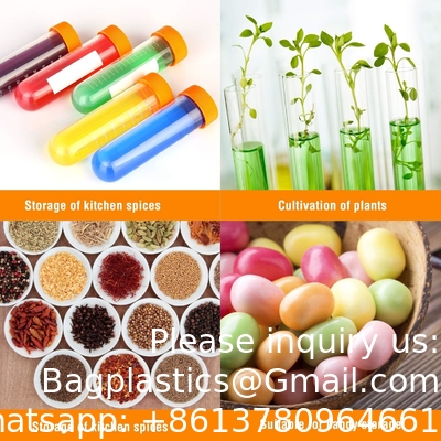 SCIENCE LAB Primary Science Jumbo Test Tubes With Stand, Set Of 10 Tubes, laboratory plasticware, lab tube for testing
