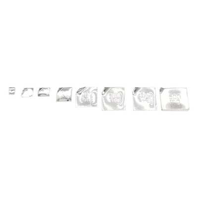 Scale Balance Calibration Weight Set With Case-10-500g (8pcs: 10g,20g,20g,50g,100g,100g,200g,500g) 8pcs Is 1000 Gram