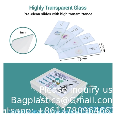 Microscope Slides With Specimens For Kids, Prepared Microscope Slides Plants Animals Insects, Microscope Slides