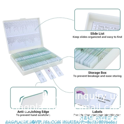 Microscope Slides With Specimens For Kids, Prepared Microscope Slides Plants Animals Insects, Microscope Slides