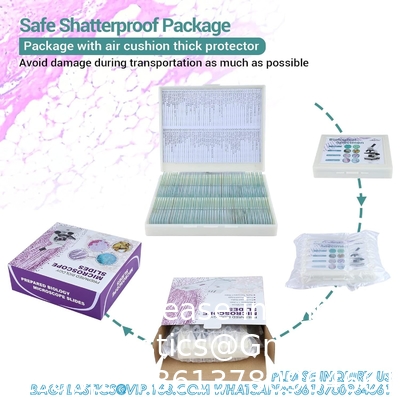 Microscope Slides With Specimens For Kids, Prepared Microscope Slides Plants Animals Insects, Microscope Slides