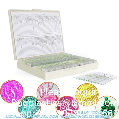 Microscope Slides With Specimens For Kids, Prepared Microscope Slides Plants Animals Insects, Microscope Slides