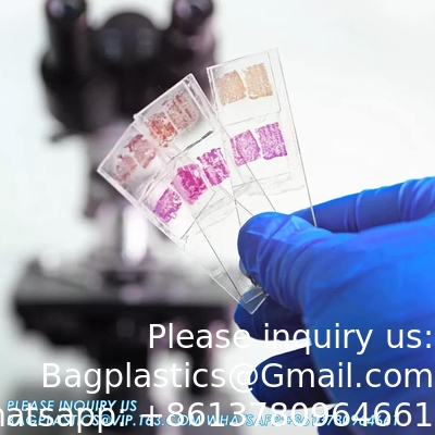 Microscope Slides And Covers, Blank Glass Slides For Microscope Set - 300 Slides, 300 Coverslips, For Microscopy