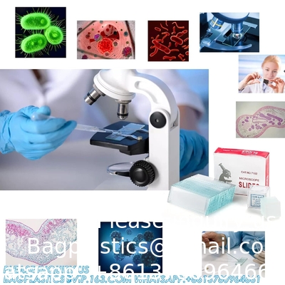 Microscope Slides And Covers, Blank Glass Slides For Microscope Set - 300 Slides, 300 Coverslips, For Microscopy