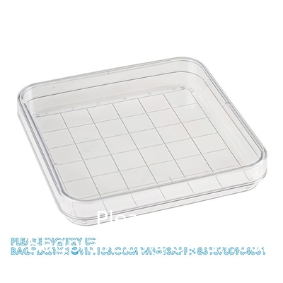 Polystyrene Square Integrid Petri Dish Container for School Lab Science Experiment Alphanumeric Gridlines