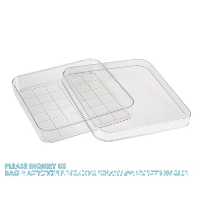 Polystyrene Square Integrid Petri Dish Container for School Lab Science Experiment Alphanumeric Gridlines