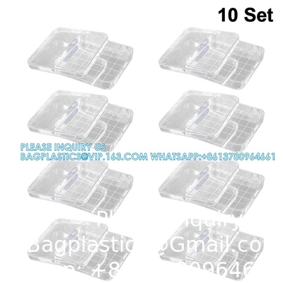 Polystyrene Square Integrid Petri Dish Container for School Lab Science Experiment Alphanumeric Gridlines