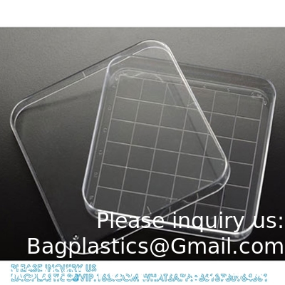 Polystyrene Square Integrid Petri Dish Container for School Lab Science Experiment Alphanumeric Gridlines