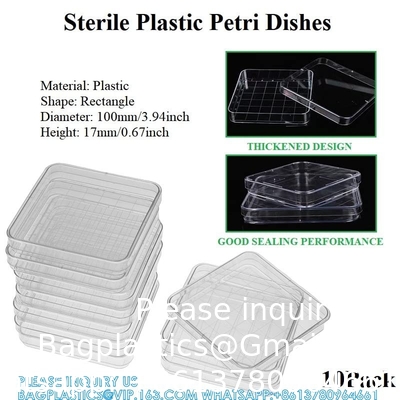 Polystyrene Square Integrid Petri Dish Container for School Lab Science Experiment Alphanumeric Gridlines