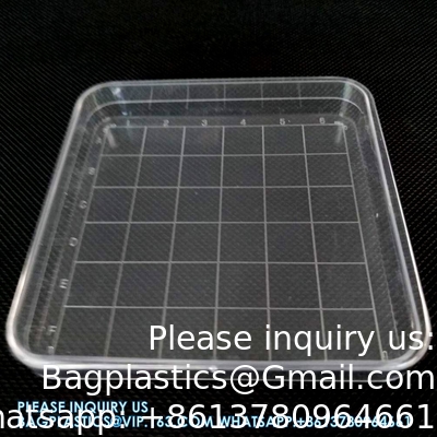Polystyrene Square Integrid Petri Dish Container for School Lab Science Experiment Alphanumeric Gridlines