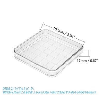Polystyrene Square Integrid Petri Dish Container for School Lab Science Experiment Alphanumeric Gridlines
