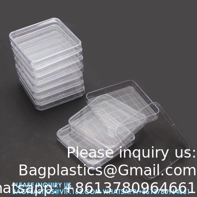 Polystyrene Square Integrid Petri Dish Container for School Lab Science Experiment Alphanumeric Gridlines