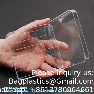 Polystyrene Square Integrid Petri Dish Container for School Lab Science Experiment Alphanumeric Gridlines