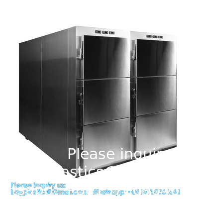 6 Rooms Dead Body Refrigerator Morgue Freezer Mortuary Equipment Morgue Coffin 6 Rooms Dead Body Freezer