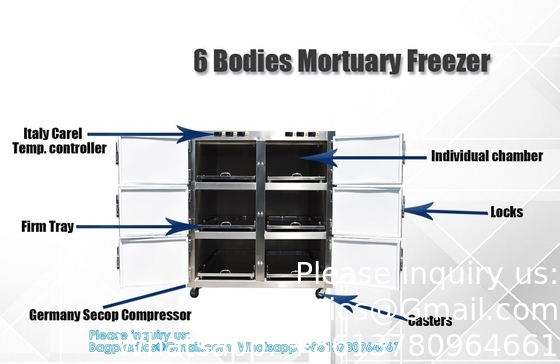 6 Rooms Dead Body Refrigerator Morgue Freezer Mortuary Equipment Morgue Coffin 6 Rooms Dead Body Freezer