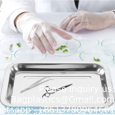 Wax Dissecting Tray Stainless Steel Thicken Dissection Pan Biological Equipment For Junior Senior School Laboratory