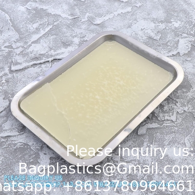 Wax Dissecting Tray Stainless Steel Thicken Dissection Pan Biological Equipment For Junior Senior School Laboratory