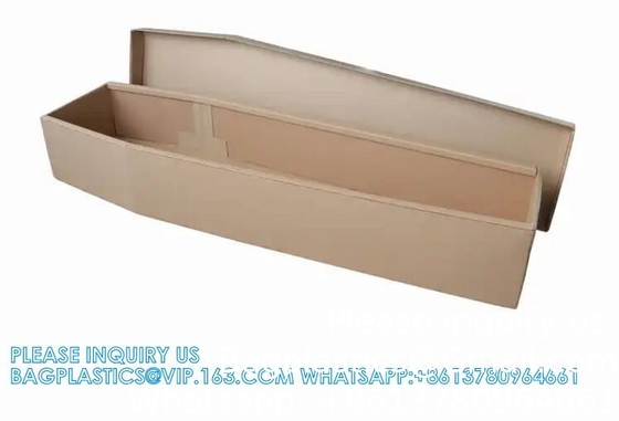Assembled Biodegradable Cremation Cardboard Coffins Prices Manufacturer Cardboard Coffins